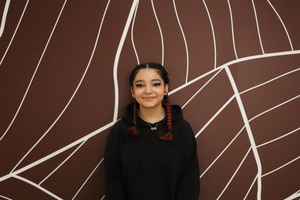 Aisha Elanfassi
