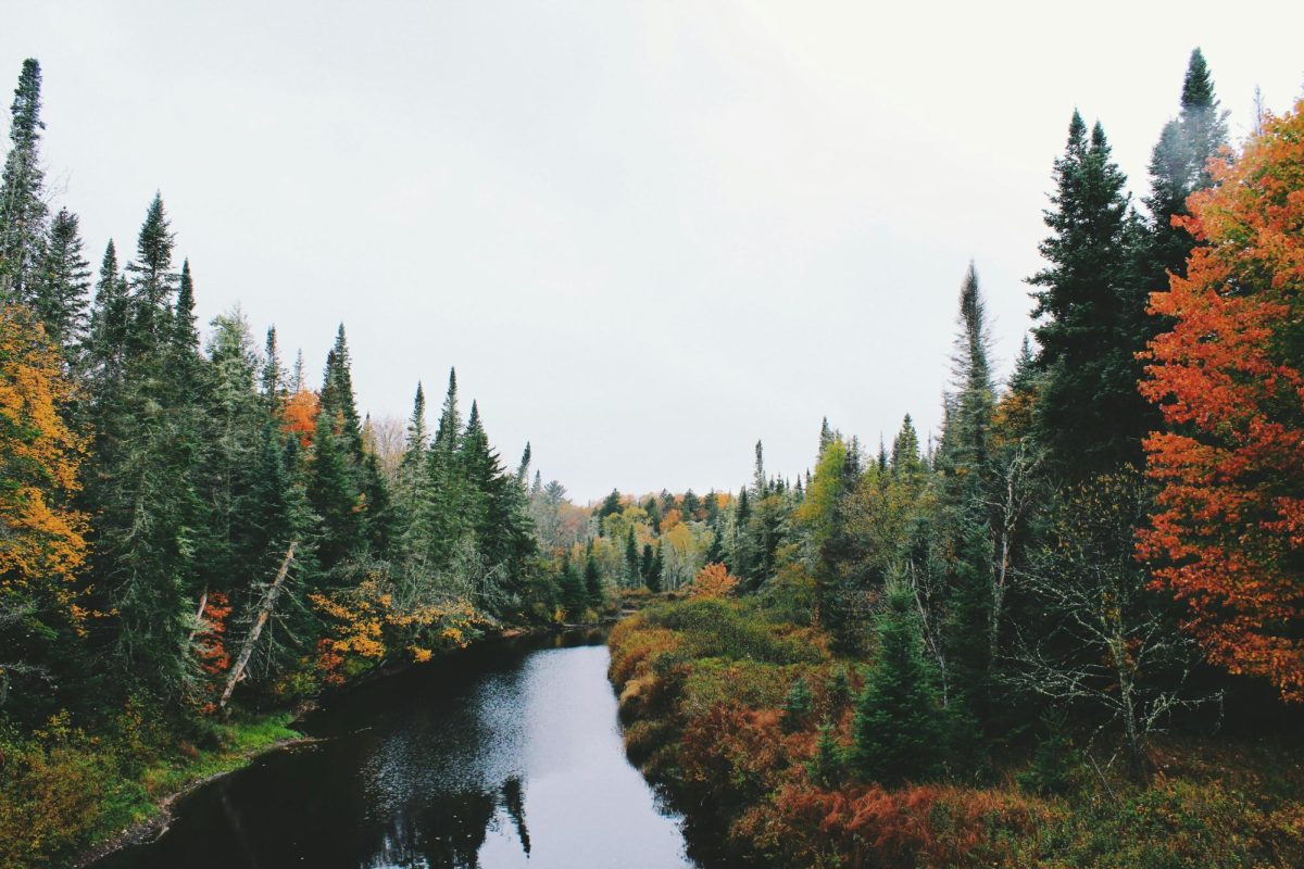Soundtrack to Fall